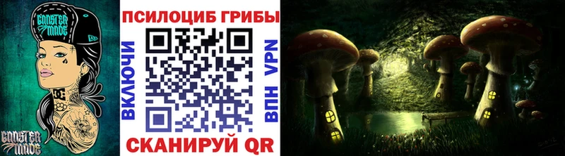 Купить где  Кулебаки  Псилоцибиновые грибы мухоморы 
